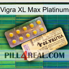 Vigra Xl Max Platinum new06